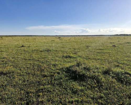 Paraje Pavón, General Lavalle, Buenos Aires - 4.784 Ha