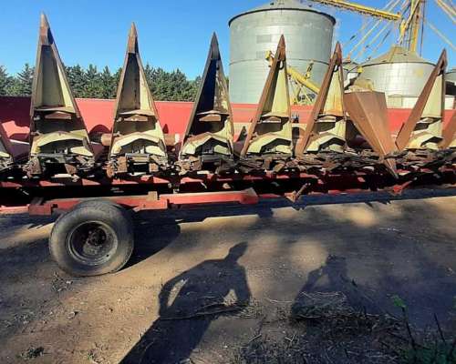 Maicero Maizco Premium de 12 a 70 cm