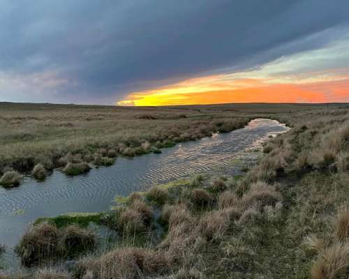 Campo Ganadero a 16 km de la Carolina
