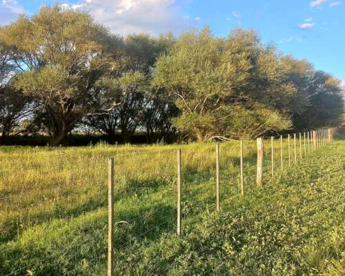 Vendo Fraccion de Campo Cercano a Ruta
