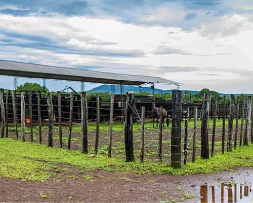 Vendo Campo Ganadero en Misiones Sobre Autopista Ruta 12