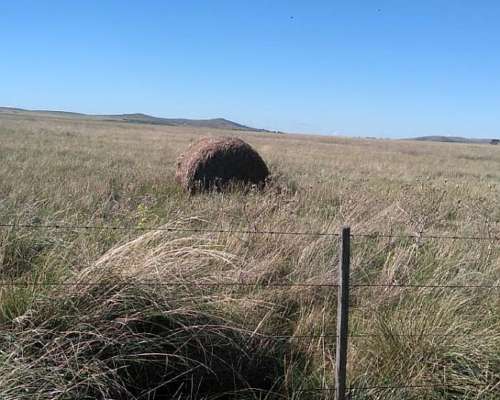 Se Venden 240 Has , Mixtas con MB Mejoras Sierra de Ventan