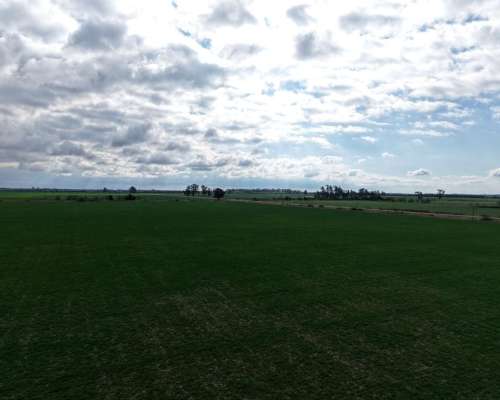 83 Has - Agricolas Sobre Asfalto en Saguier (santa FE)