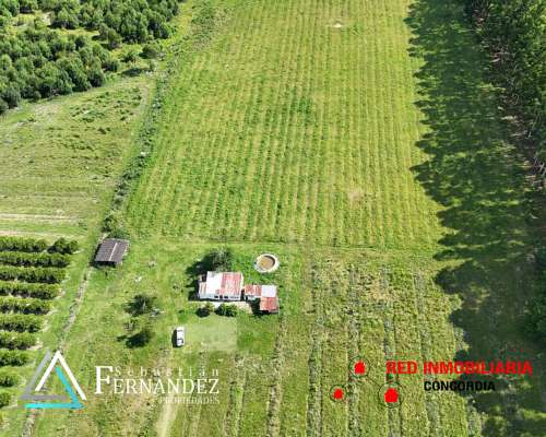 Campo en Venta, Zona Citricola/forestal Cerca de Zona Urbana