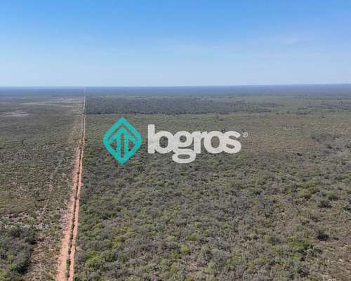 Campo en el Tunal, Salta
