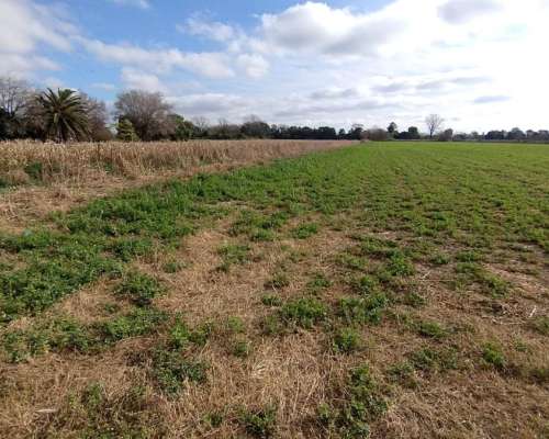 Campo de 3.5 Has. - Zona Aeroclub Villa Coronel Olmedo)