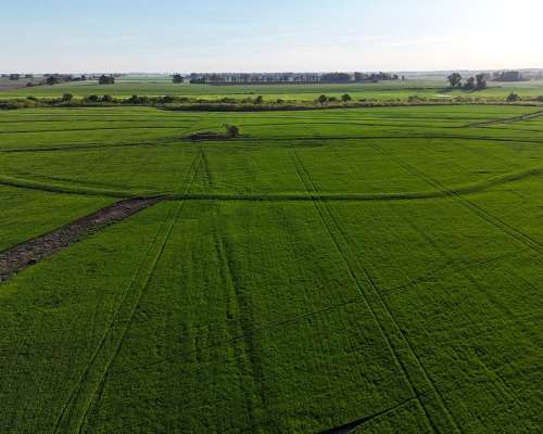 340 Ha Agricolas Capitan Sarmiento