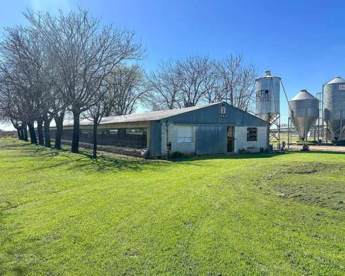 Granja Avícola de Engorde / Financiación, Permuta.