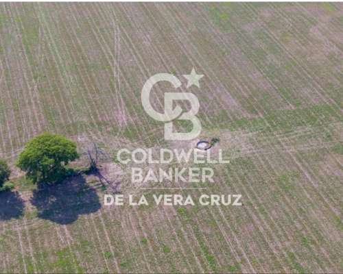 San Agustin, Santa FE Campo Mixto