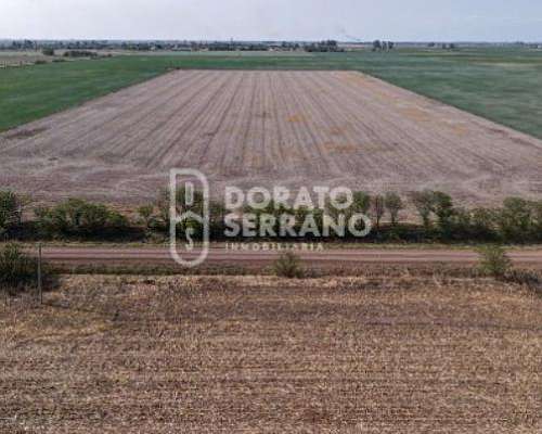 Campo Agricola - Colonia Belgrano - 28,5 Has.