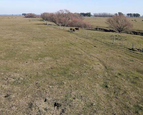 Ramos Otero, Balcarce, Buenos Aires - 148 Ha