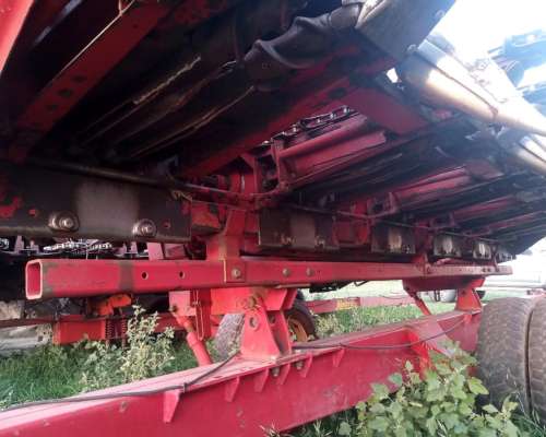 Maicero Mainero 1889 de 6 a 70