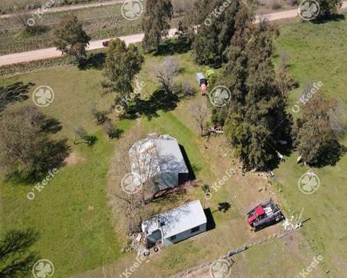 Chacra en Venta de 15 Has en Gral. Belgrano. Agricola