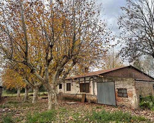 Chacra de 2 Has Sobre Ruta Asfaltada en San Pedro