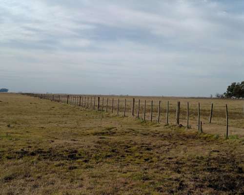 1000 HA, Ganadero, Dolores