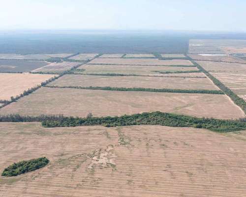 Pcia. de Salta - Embarcacion 1370 Has