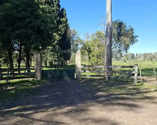 Campo de 47 Has en Manzanares, Apto EMP Industrial