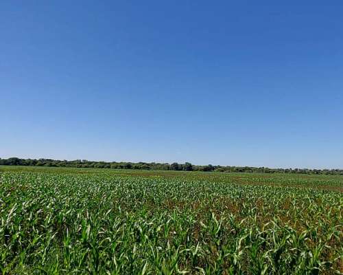 Vendo Campo Agrícola Financiado