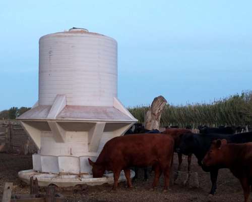 Silos Comedero Autoconsumo Verticales 9.000 KG. (12 M3)