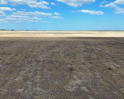 700 Hectáreas Pehuenco, BS. AS.