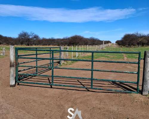 Vende: Hermoso Coto de Caza en la Pampa