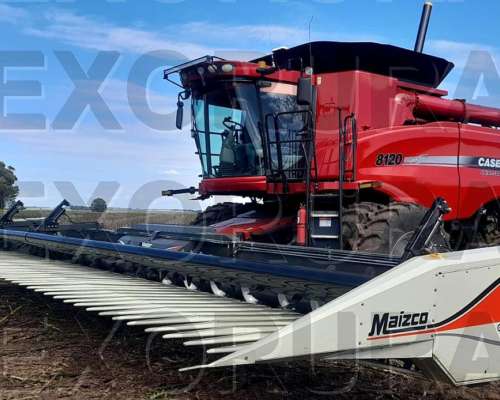 Girasolero Maizco 21/52, 2024. 230. Embocador Case