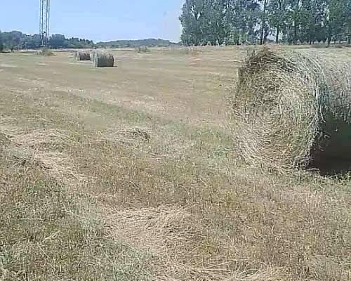 Vendo Fardos y Rollos de 1ra Calidad en Abasto,la Plata