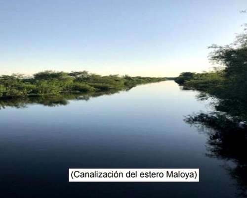 Campo 4168ha Mixto - San Luis del Palmar Corrientes