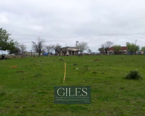 Campo Mixto 720 Hectáreas