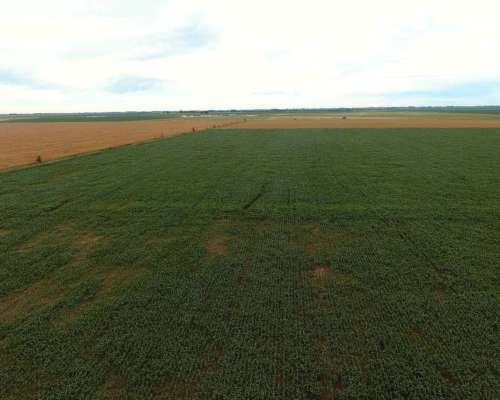 Pcia. de Cordoba - San Marcos SUD 770 Has