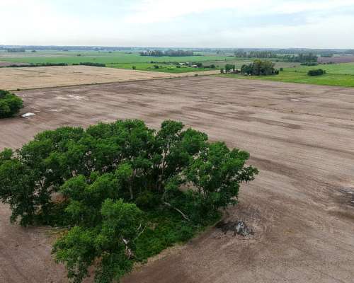 105 Has. Campo Agrícola en San Andres de Giles