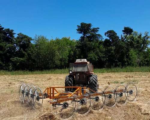 Rastrillo en V de 10 Estrellas Alser Anca