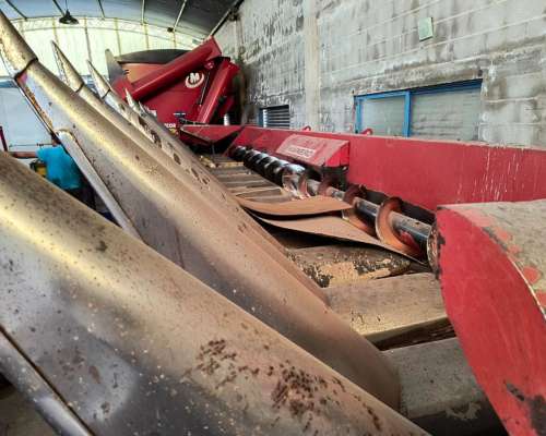 Maicero Mainero 2000 de 16 a 52 muy Bueno 2008