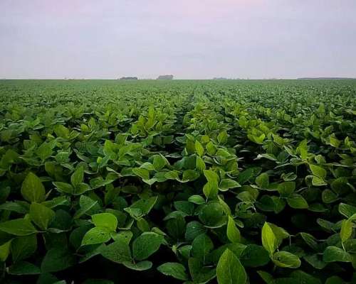 176 Has en Comechingones Cordoba