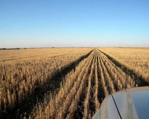 73ha en Camersa MZA con Riego y Alfalfas