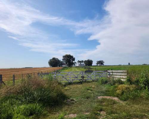 Se Alquila Campo Agricola - las Armas. Ayacucho - Ruta N°2
