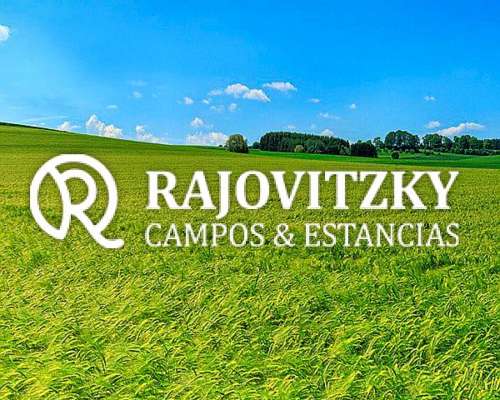 200 Has Vendo Excelente Campo