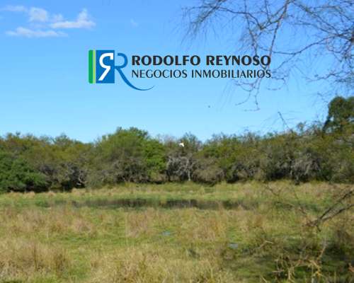 22 HA. en Villa Elisa - Entre Ríos