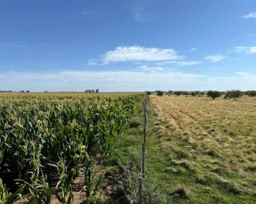 Vendo Importante Campo en Santa Rosa la Pampa