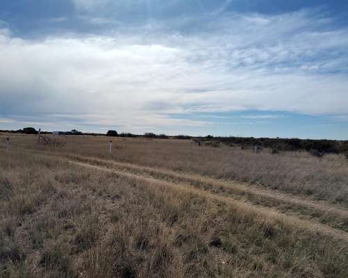 Campo en Peninsula Valdes Chubut 10.000 Ha Costa al MAR