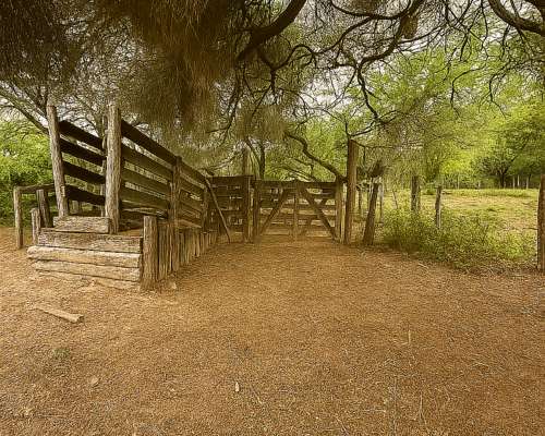 Vendo Campo Especial Ganadería