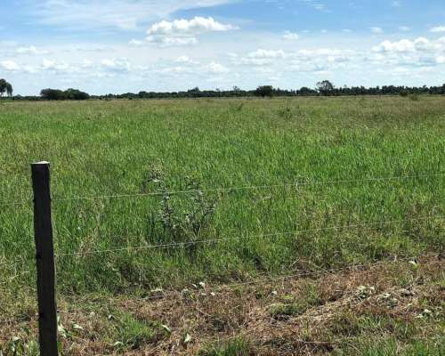 Estancia Ganadera Cría Desarrollada Mejoras Pasturas