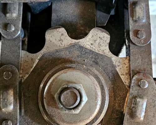 Maicero Maizco Premium 2017