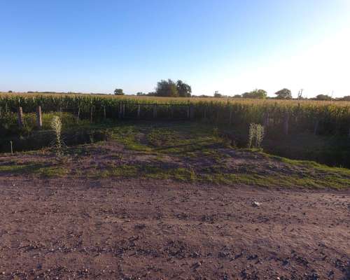 Venta Campo Agrícola. 16 HA. Recreo, Santa FE.