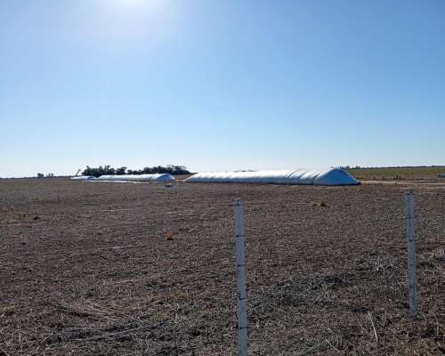 Se Vende Campo 43 Has Agrícolas Zona de Río Primero.