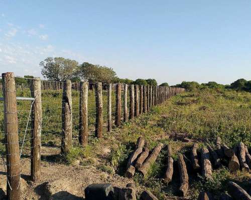 Aguará Grande, San Cristobal, Santa FE - 7.827 Ha