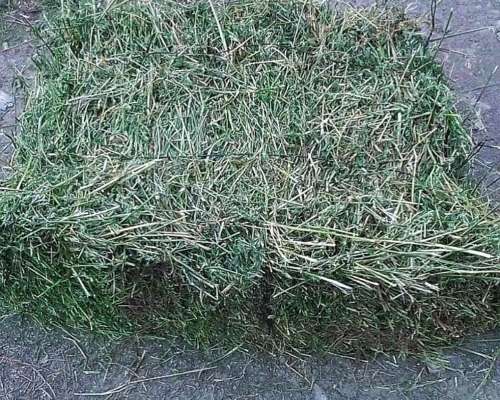 Vendo Fardos de 1ra Calidad en Abasto,la Plata