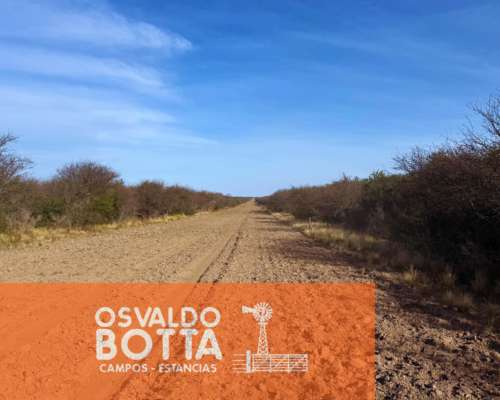 Campo Ganadero – 6.200has – Rucanelo, la Pampa