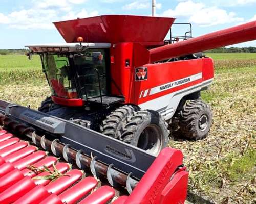 Cosechadora 9895 Massey Fergusson con Draper de 40 Pies