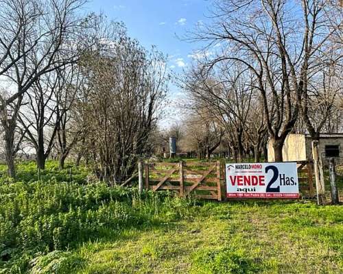 Chacra de 2 Has Sobre Ruta Asfaltada en San Pedro